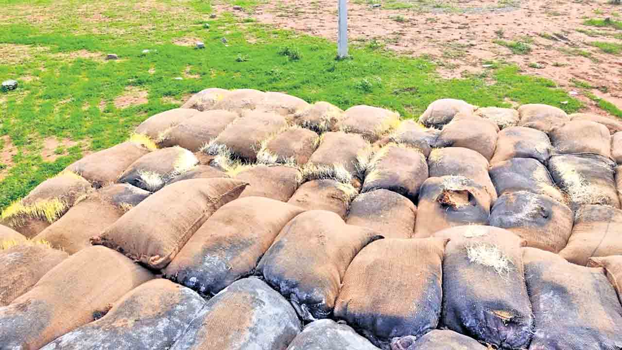 ధాన్యం దైన్యం కేంద్రానిదే పాపం