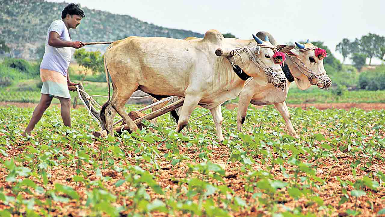రైతుబీమాకు దరఖాస్తుల ఆహ్వానం