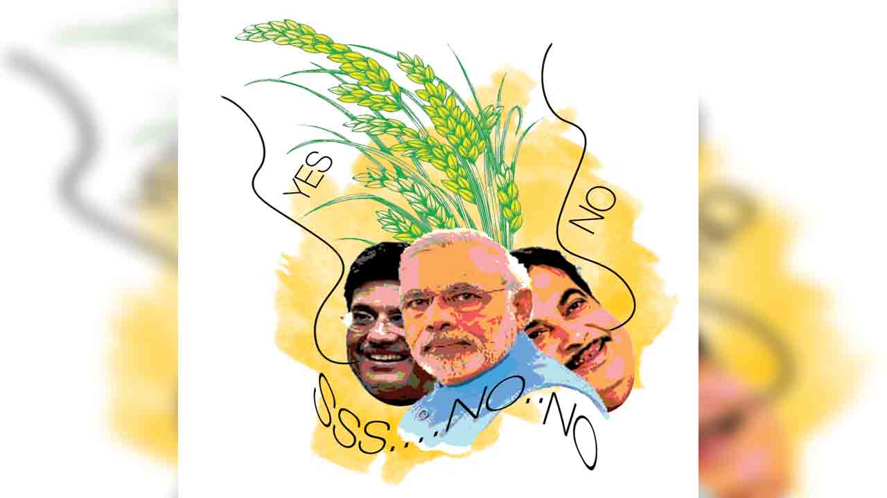 వరి వద్దని.. వేయాలని!