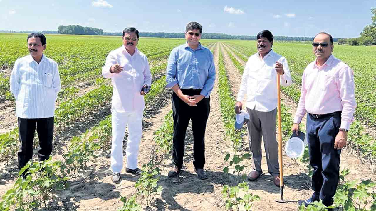 పత్తి సాగులో యాంత్రీకరణ పెరగాలి