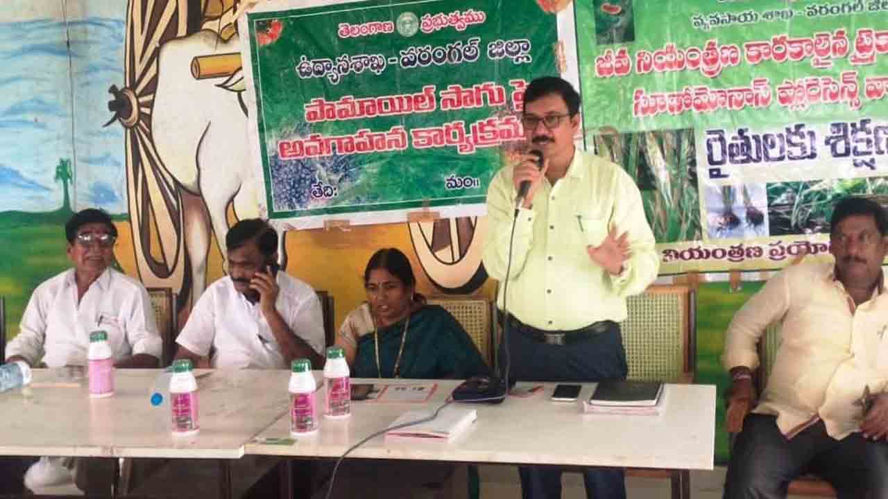 ఆయిల్పాం సాగు లాభదాయకం