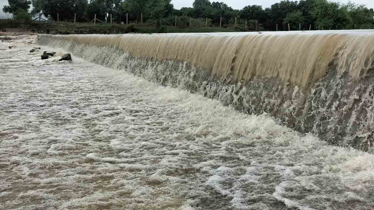 విస్తారంగా వానలు