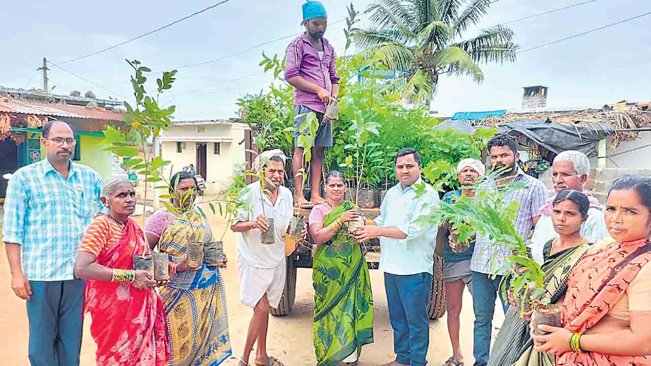 పల్లెకు పచ్చతోరణం
