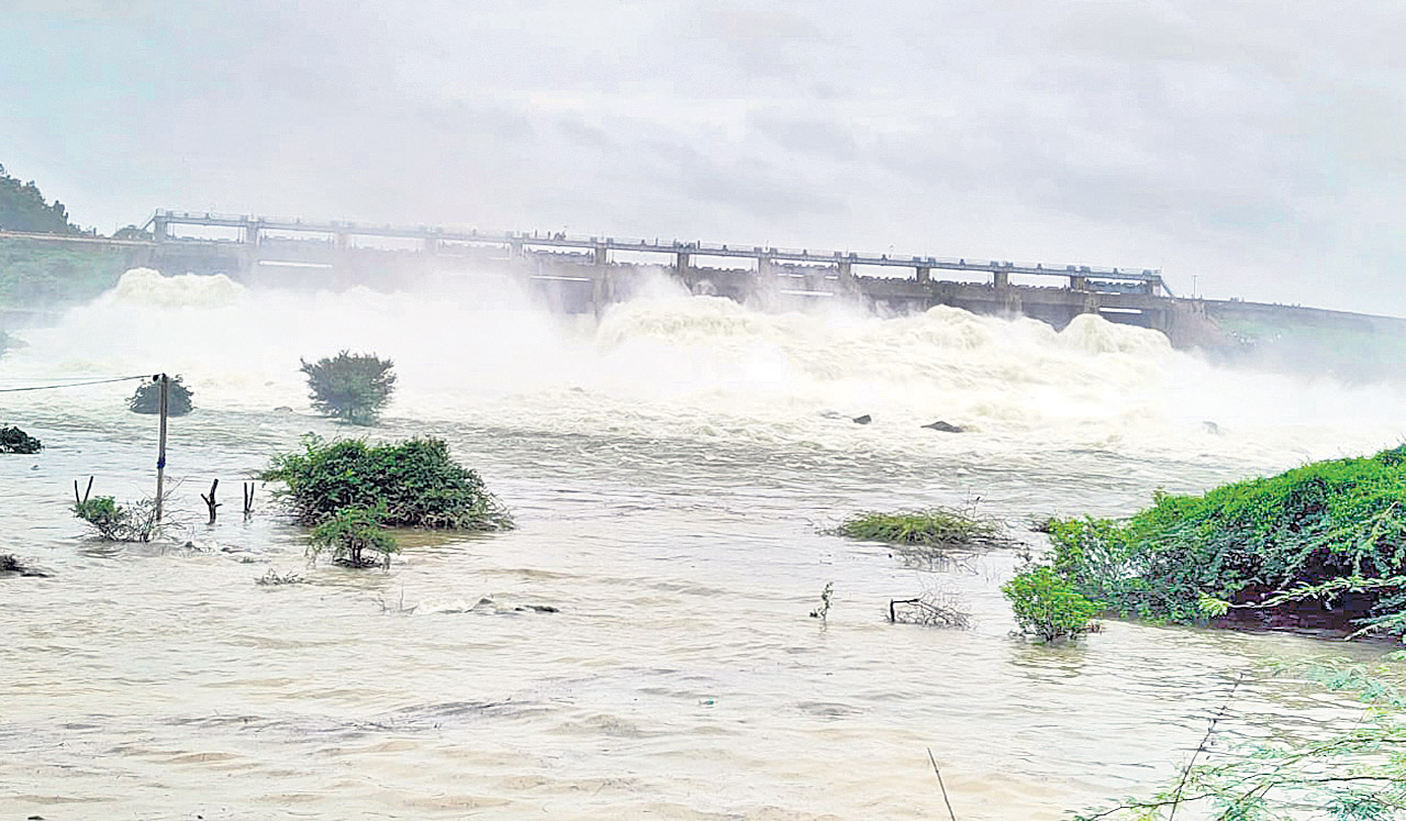 జడివాన..భయపెడుతున్న ముసురు