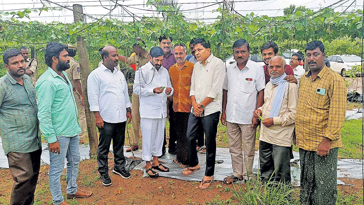 సేంద్రియ సాగు విధానమే మేలు