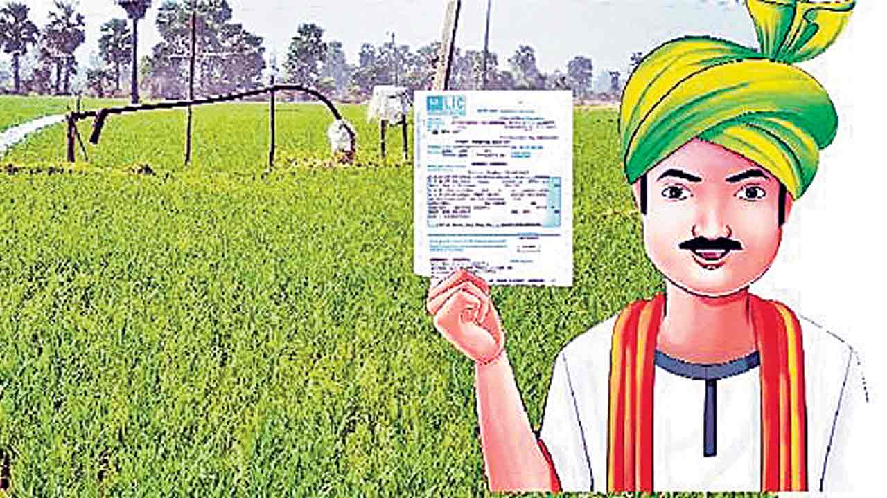 బీమా..ధీమా..!