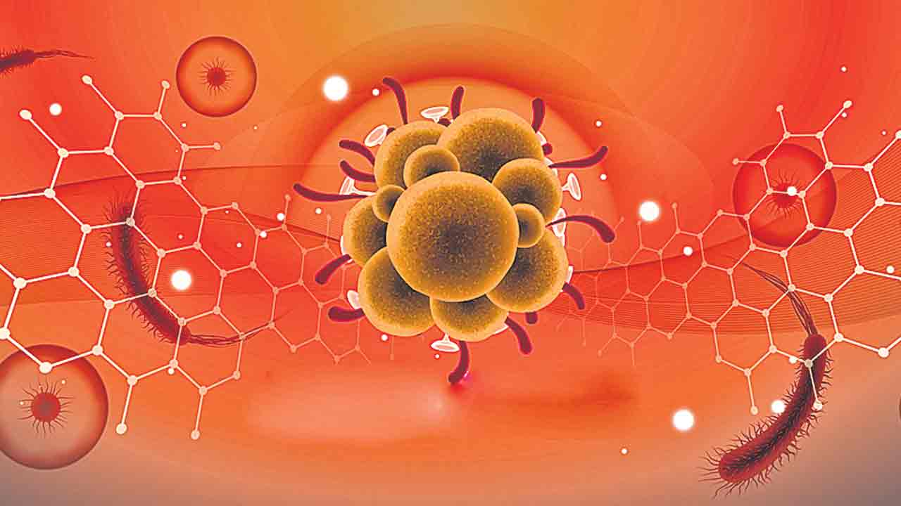 హెల్త్‌ఎమర్జెన్సీగా మంకీపాక్స్‌