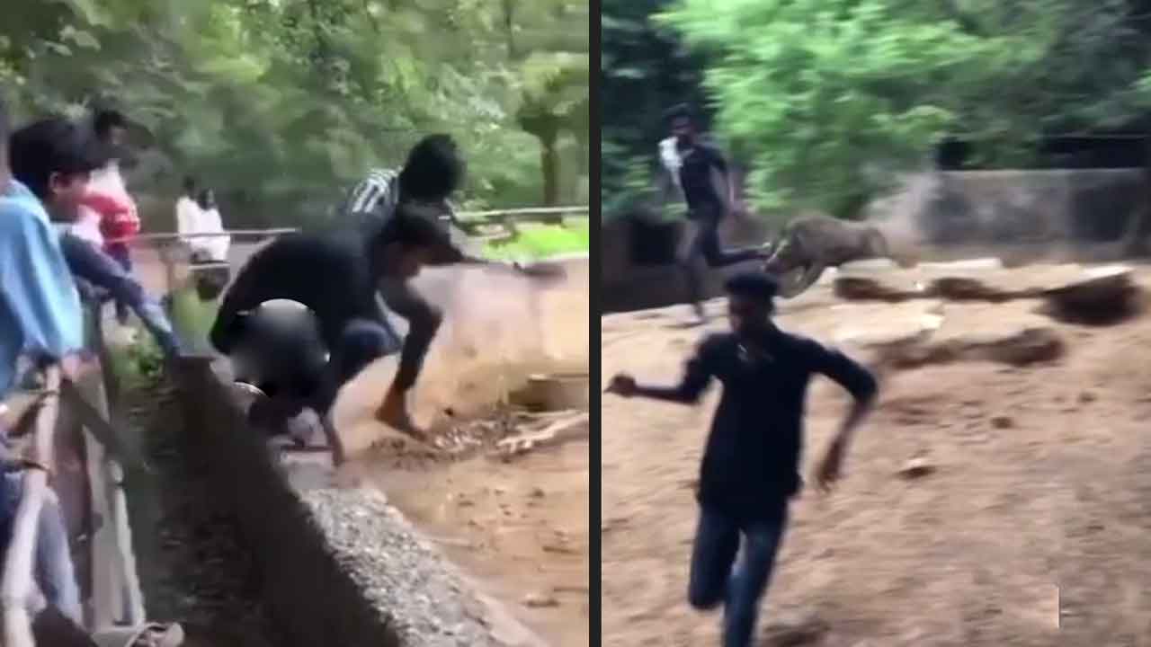 విశాఖ ‘జూ’ లో ఆకతాయిల ఆగడాలు.. పోలీసుల అదుపులో యువకులు