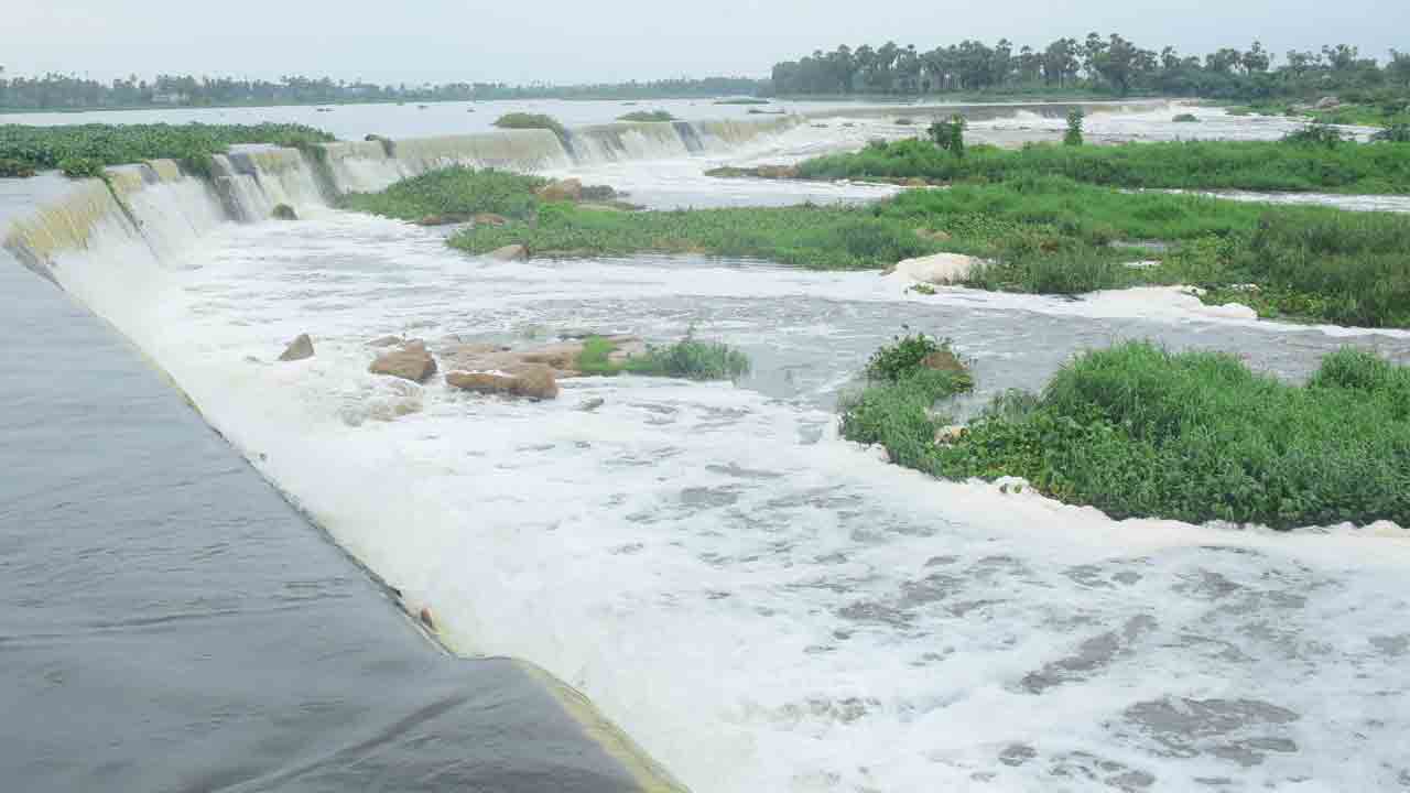 రోజంతా ముసురు