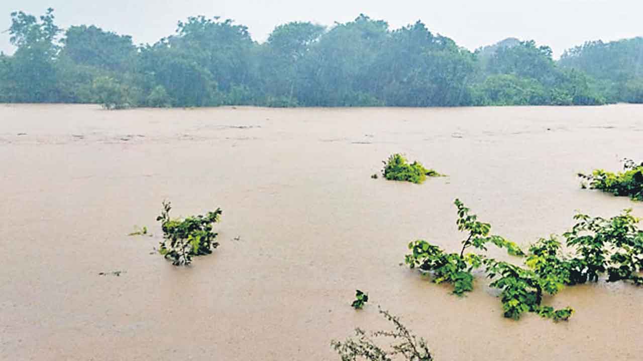 నలుదిక్కులా నీళ్లు