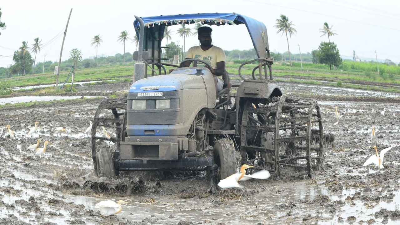 పంటలకు మిత్రులు!