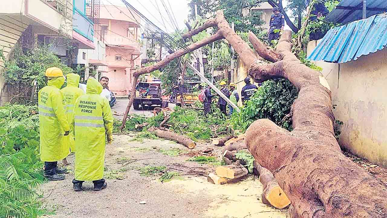 వీడని ముసురు