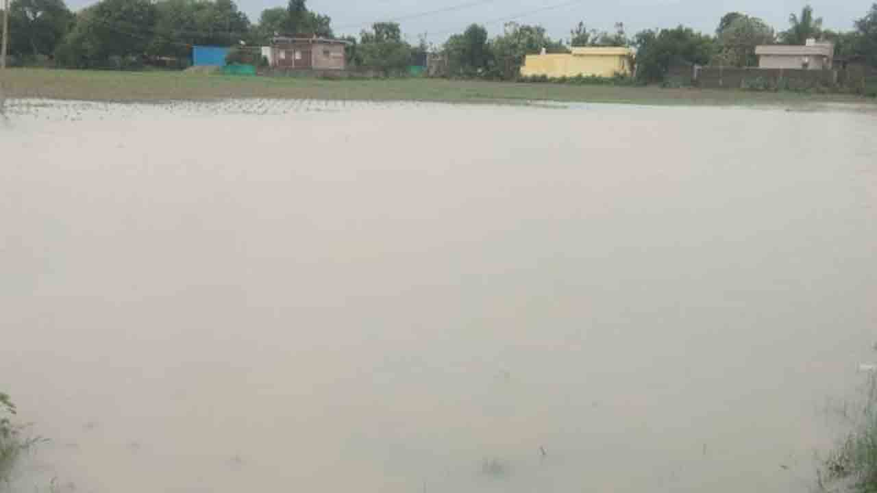 జలకళ.. దంచి కొడుతున్న వానలు