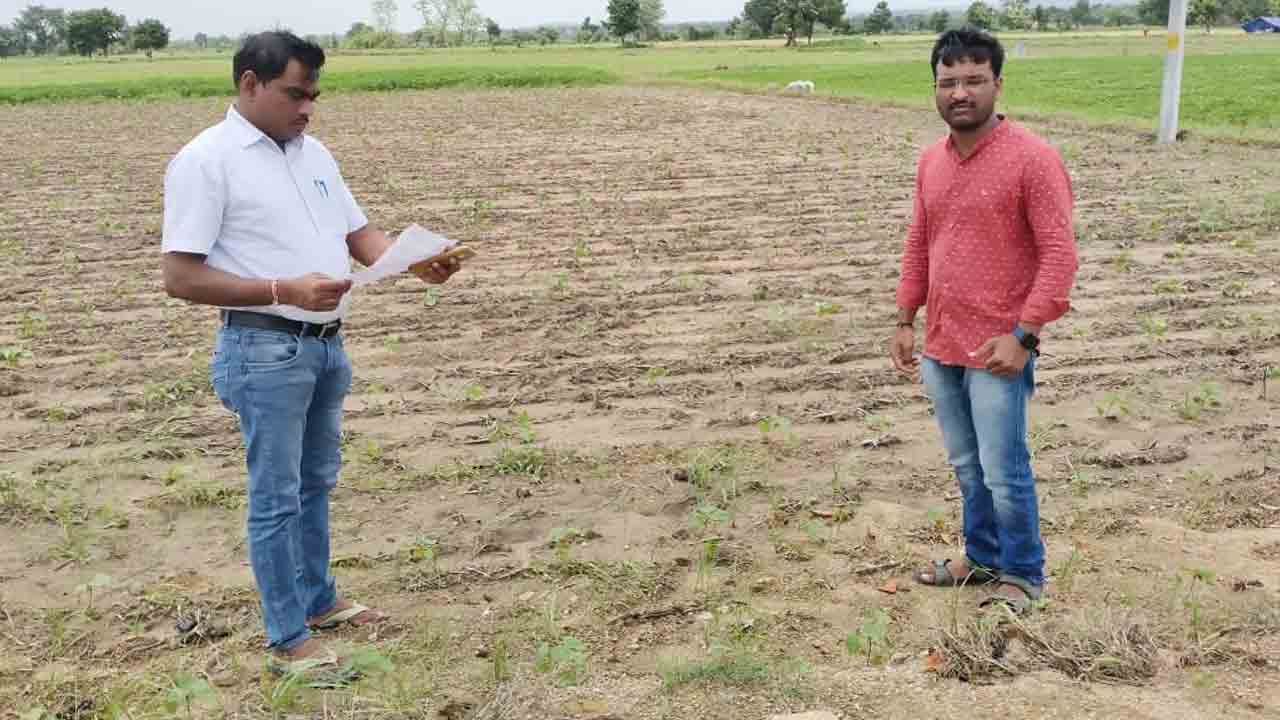 పంటల రక్షణకు సస్యరక్షణ చర్యలు చేపట్టాలి