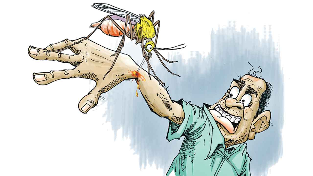 వానకాలం.. జరభద్రం