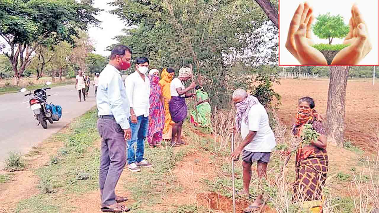 సంరక్షణ సక్రమంగా