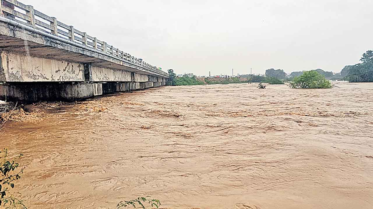 వాన వెల్లువ