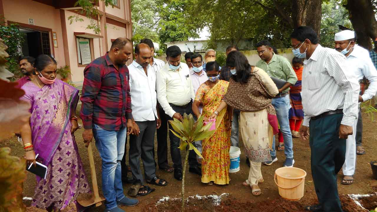 పారిశుధ్య పనులు పకడ్బందీగా చేపట్టాలి