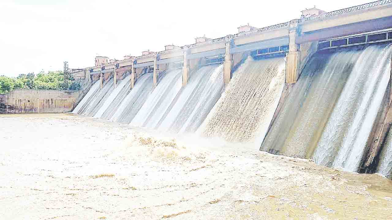 జోరువాన