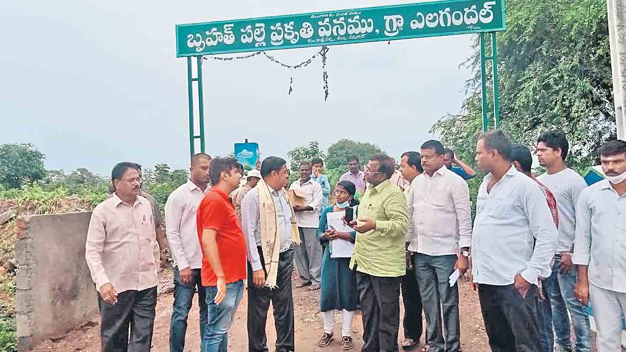 పల్లె ప్రకృతివనం బాగుంది