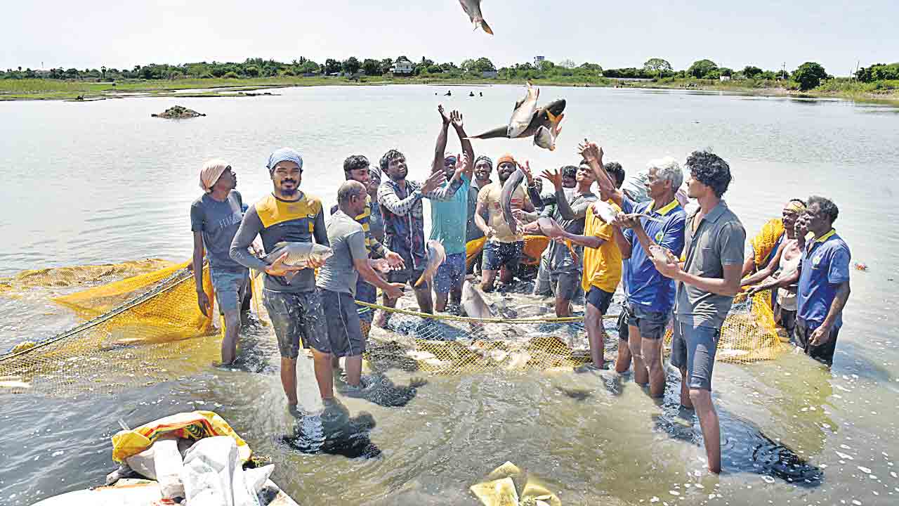 ప్రమాద బీమాతో ఆర్థిక అండ
