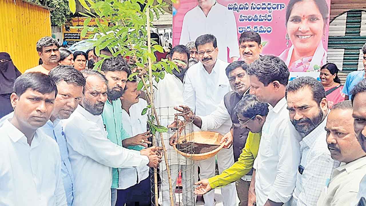 సమస్త జీవకోటికి చెట్లే ఆధారం