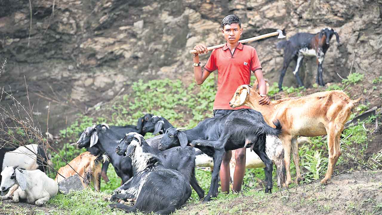 కరణ్‌కు బీమా ఇచ్చిన ధీమా!