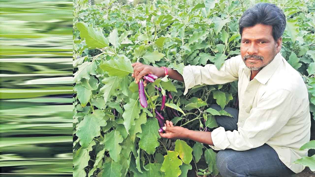 అద్దెకరమే ఆదెరువైంది..