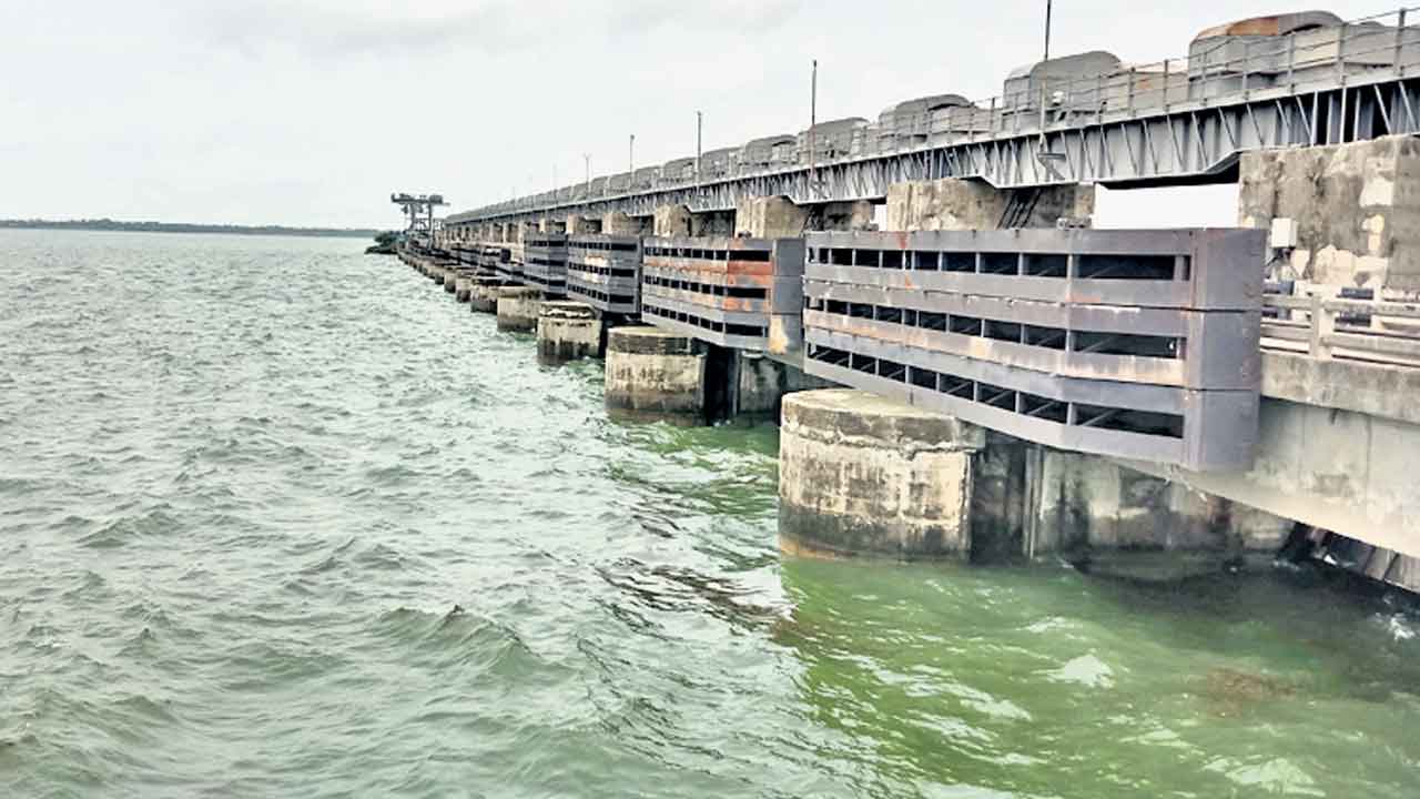 ‘సింగూరు’కు జలసిరి