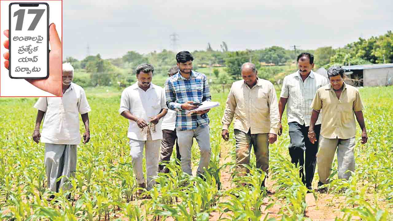 ఏ పంట? ఎంత?