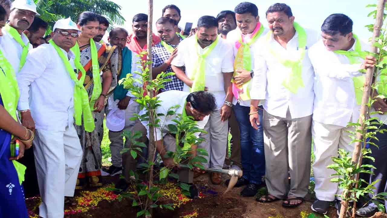 పల్లెల్లో పచ్చదనం పరిఢవిల్లాలి.. ప్రతి మొక్కనూ సంరక్షించాలి