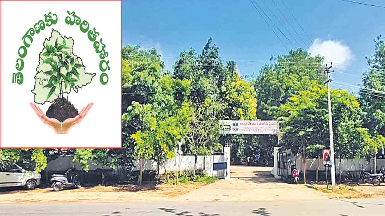 హరిత ఠాణా