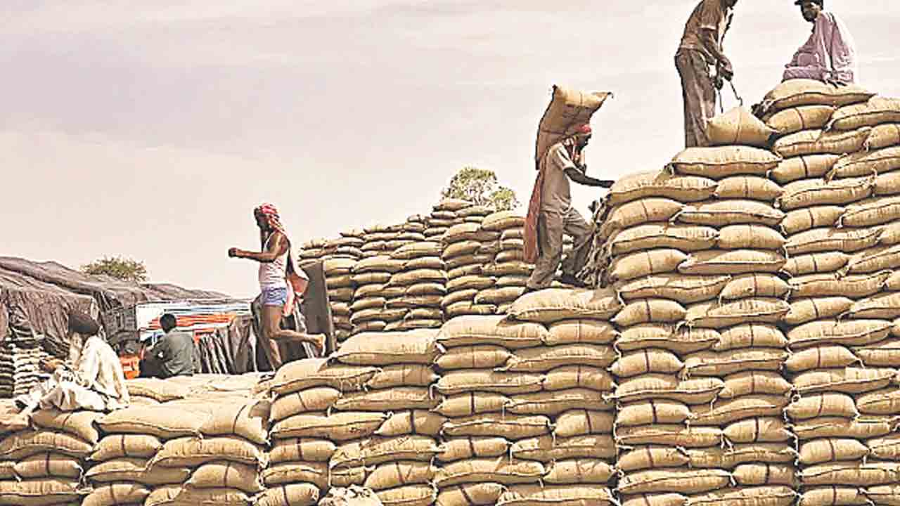 ఎగుమతులపై నిషేధం సరికాదు