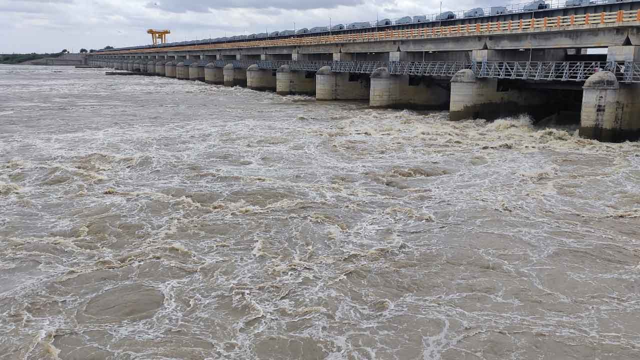 జలసవ్వడి