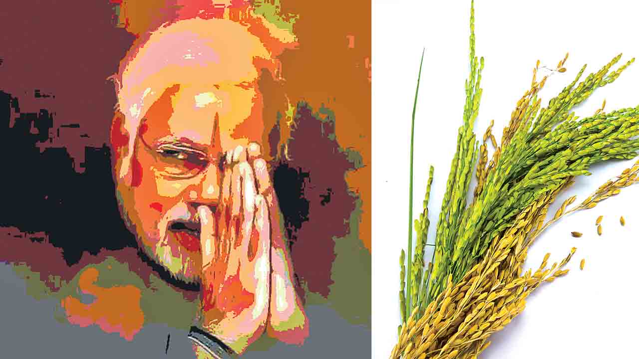 మద్దతు ధరపై మళ్లీ దగా