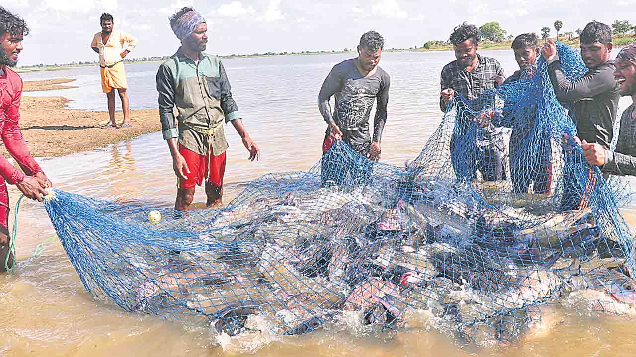 జలసేద్యానికి జవసత్వాలు