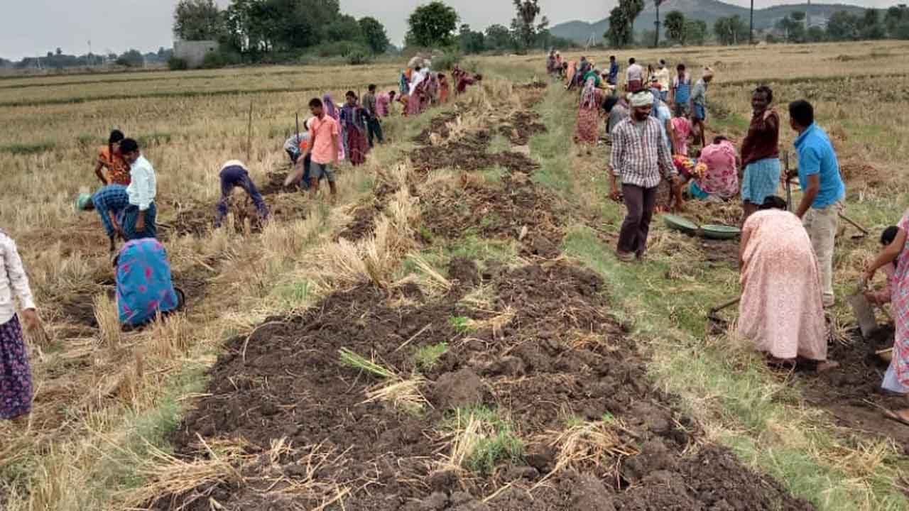 చేతినిండా ‘ఉపాధి’
