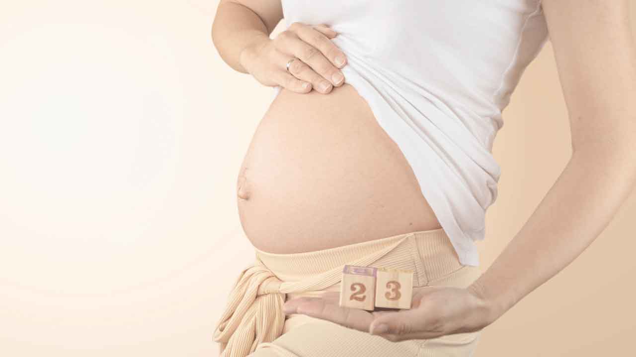 23 వారాల పిండాన్ని తొల‌గించ‌డం కుద‌ర‌దు: ఢిల్లీ హైకోర్టు