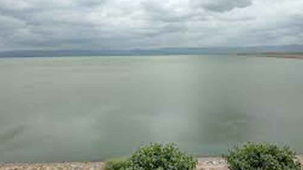 జలాశయంలో కొట్టుకుపోతున్న 350 ఆవులను రక్షించిన గ్రామస్థులు