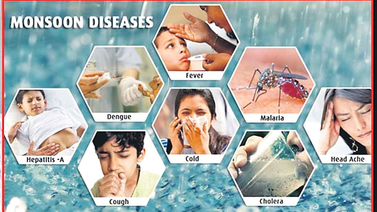 సీజనల్‌ వ్యాధులపై నజర్‌