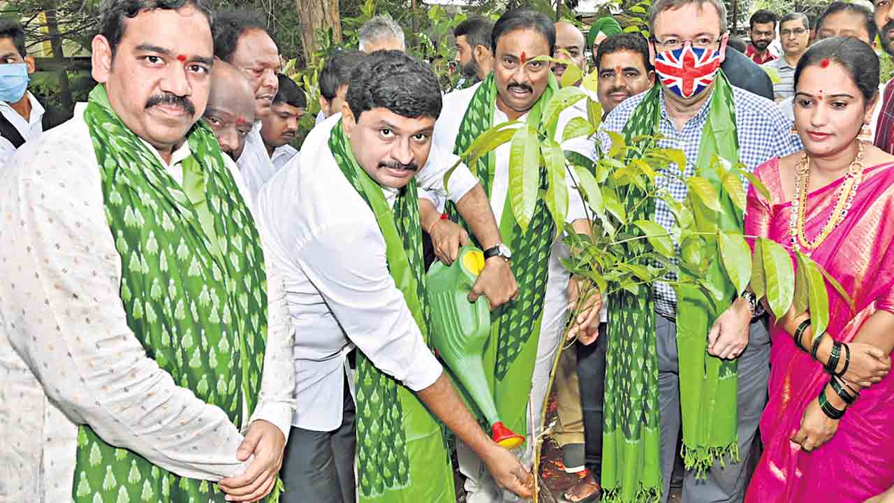 గ్రీన్‌ చాలెంజ్‌ విశ్వవ్యాపితం 