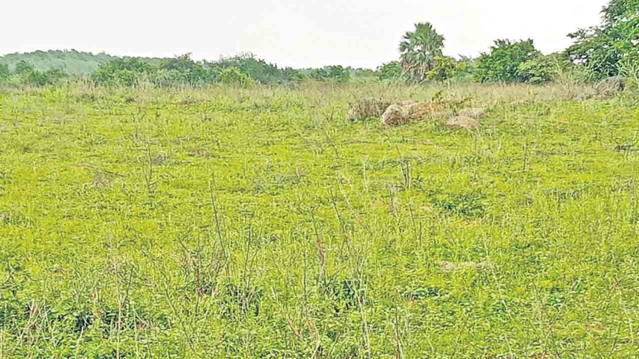 పారిశ్రామిక ప్రగతిలో మరో ముందడగు..