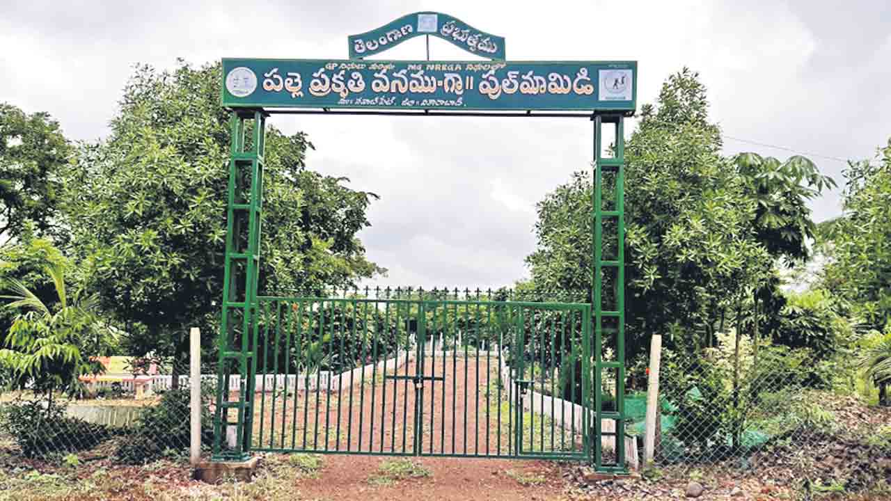 మెరిసిన పులిమామిడి