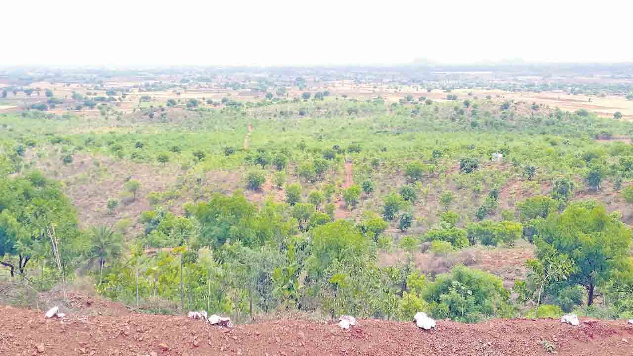 వెదురుగట్ట..హరిత గుట్ట