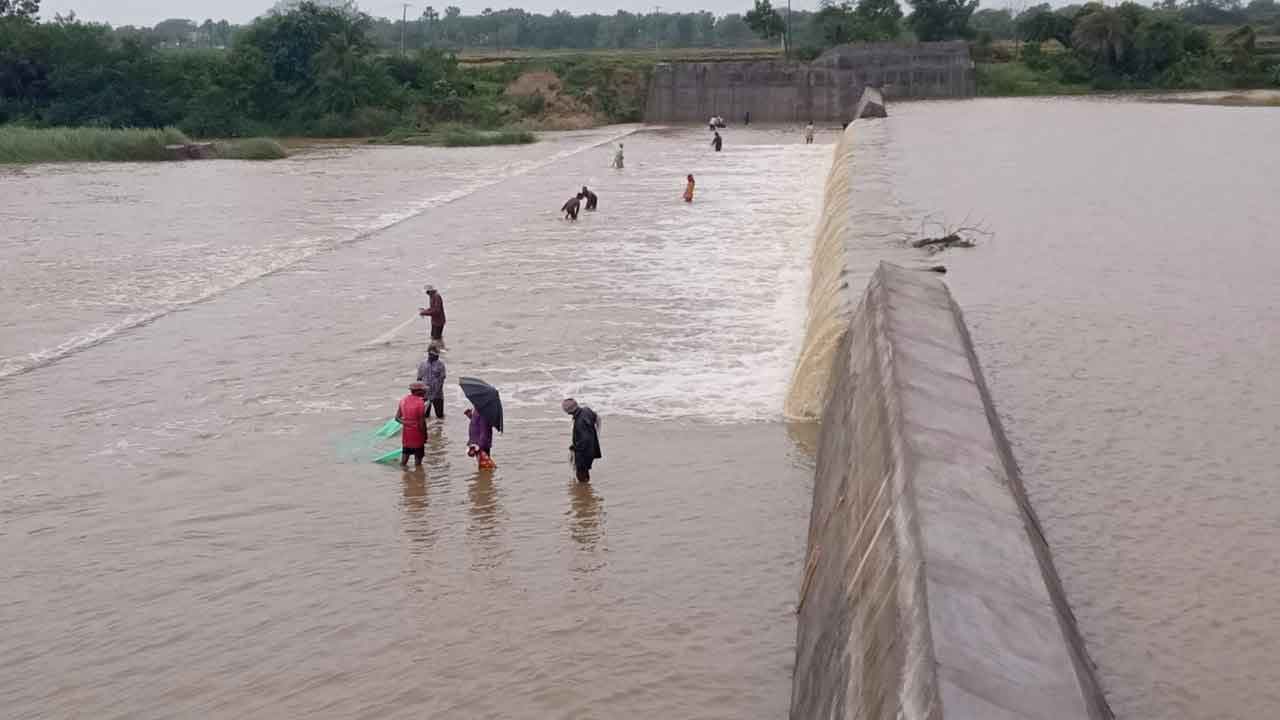 విస్తారంగా వర్షాలు