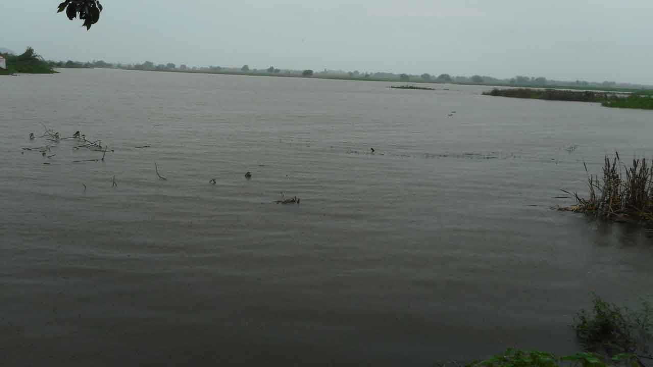 వానొచ్చే.. వరదొచ్చే..