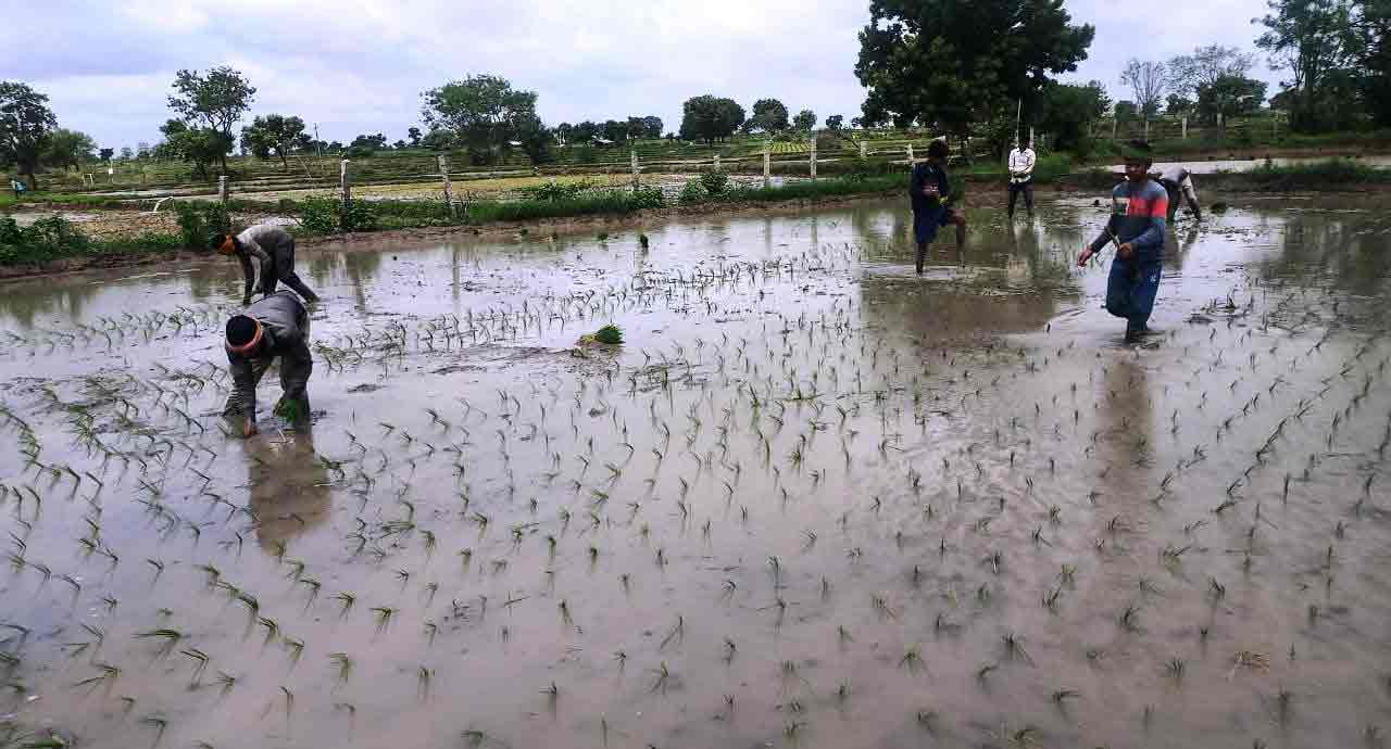 వలసల జిల్లాకే వలసలు