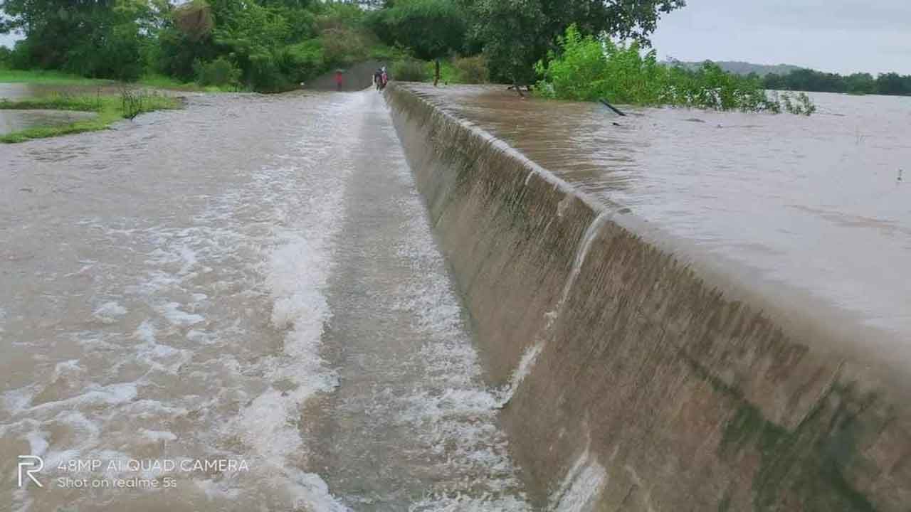జోరు వాన..జిల్లా వ్యాప్తంగా ముసురు