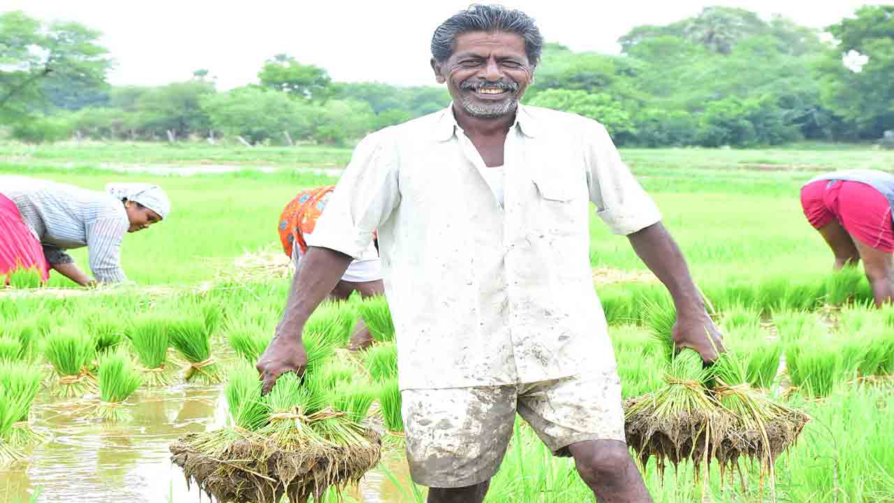 ధీమాగా బీమా