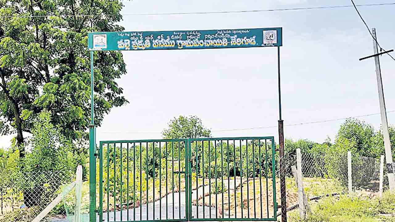 అభివృద్ధి పథంలో శేరిగూడ